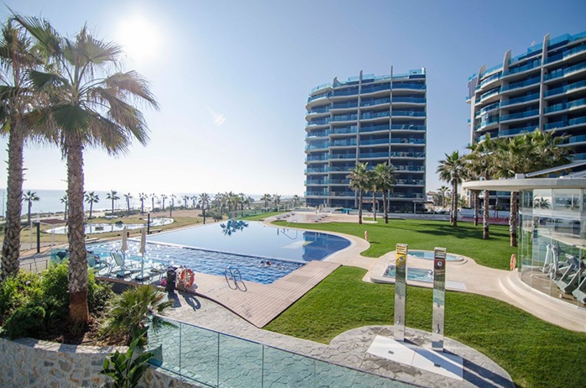 Apartment in Torrevieja (Alicante)