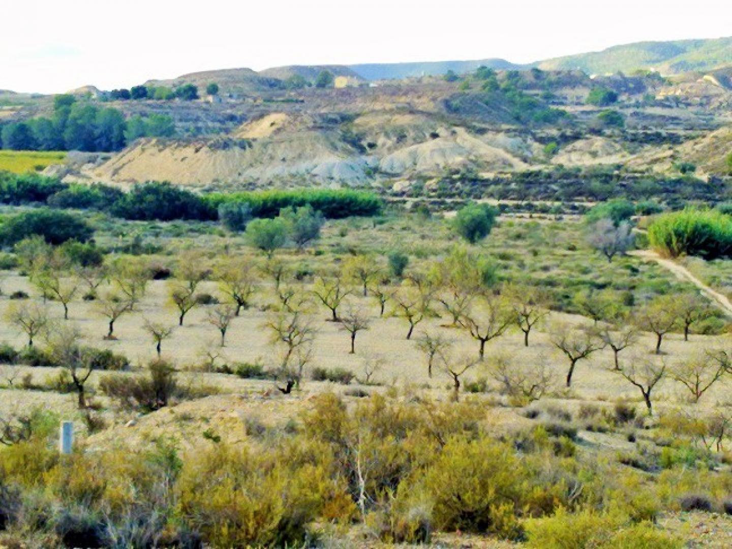 Plot in Torremendo (Alicante)