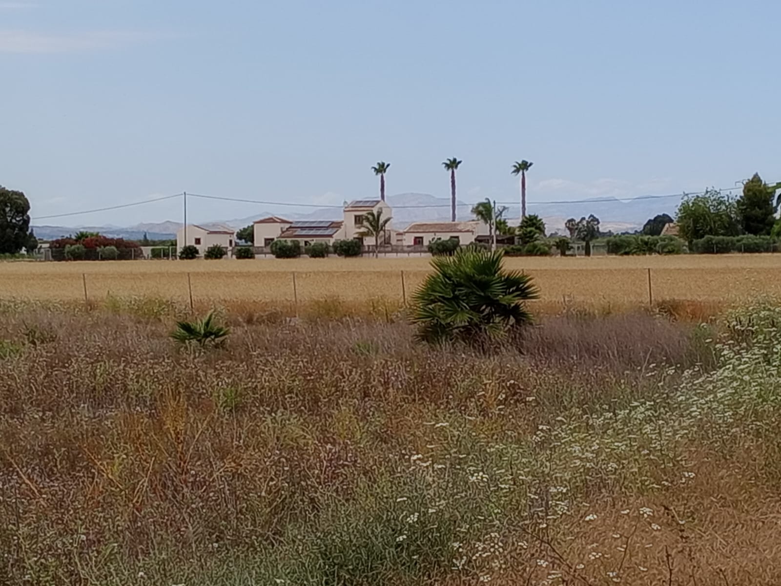 Plot in San Fulgencio (Alicante)