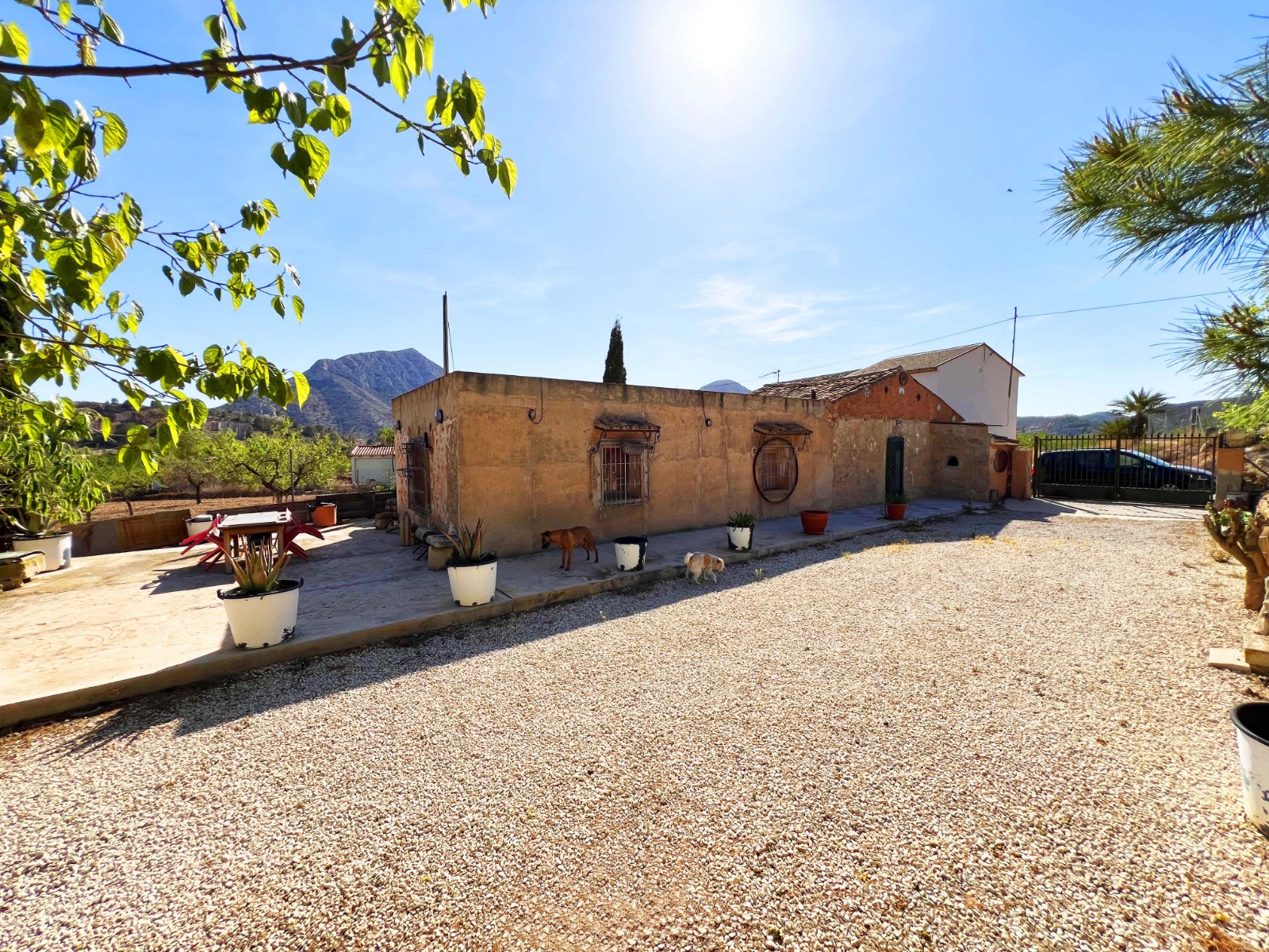 Country house in Barbarroja (Alicante)